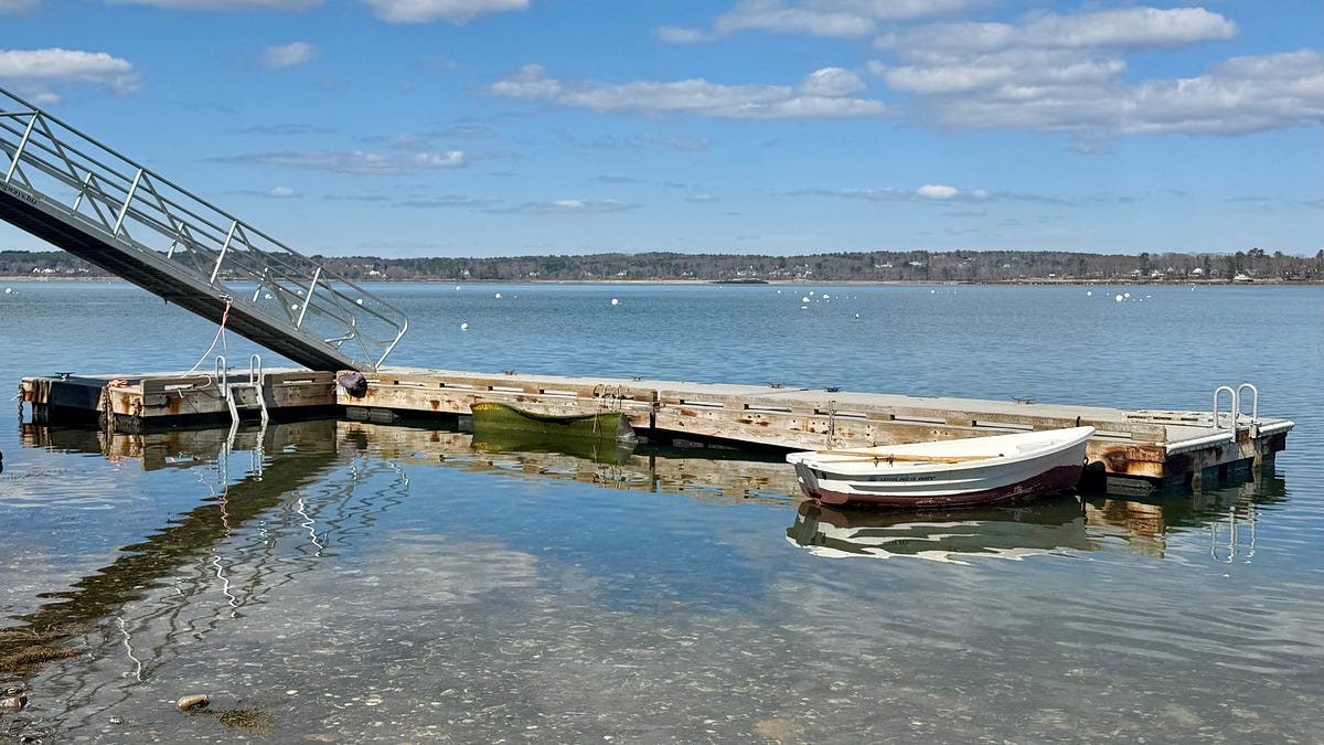 Books on the Boat: Skylark by Paula McLain